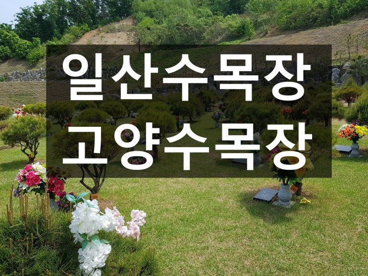  일산수목장 가격이 얼마인가요?