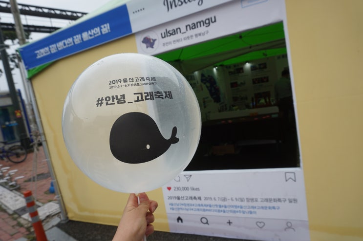  2019 장생포 울산 고래축제 첫날 다녀왔지요~