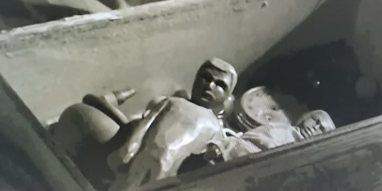  01 아카데미수상작, '앵무새 죽이기'