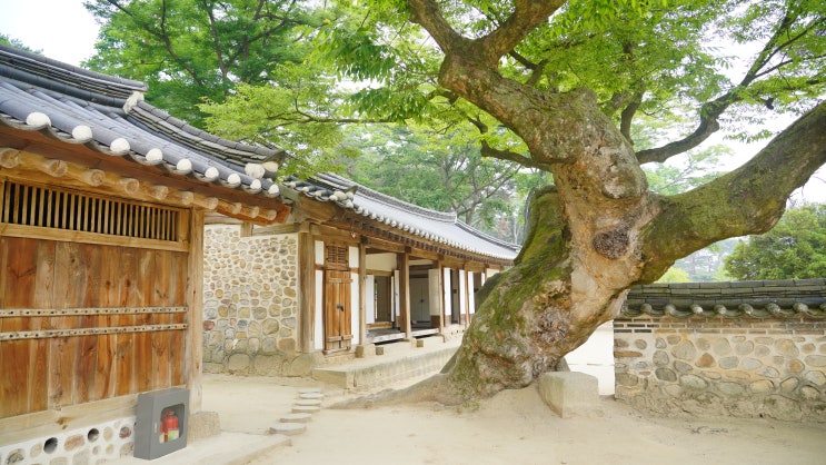 효종대왕 영릉_ 왕의 숲길을 걷다
