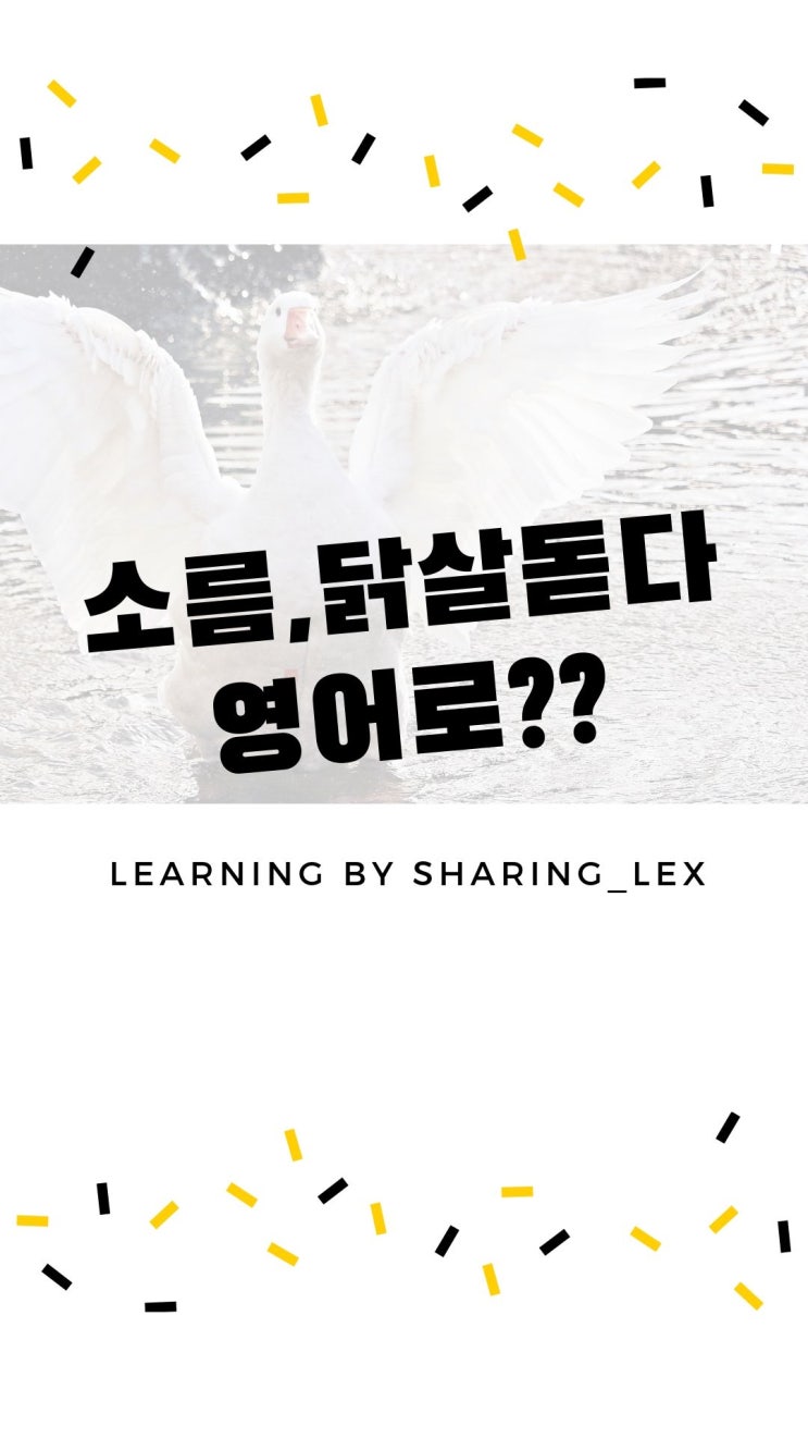  소름, 닭살 돋다를 영어로?