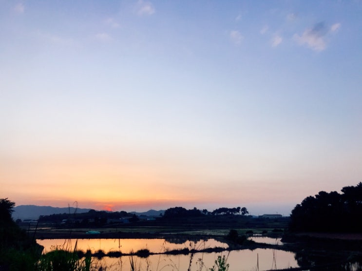  [19.6월 첫째 주] 보통날