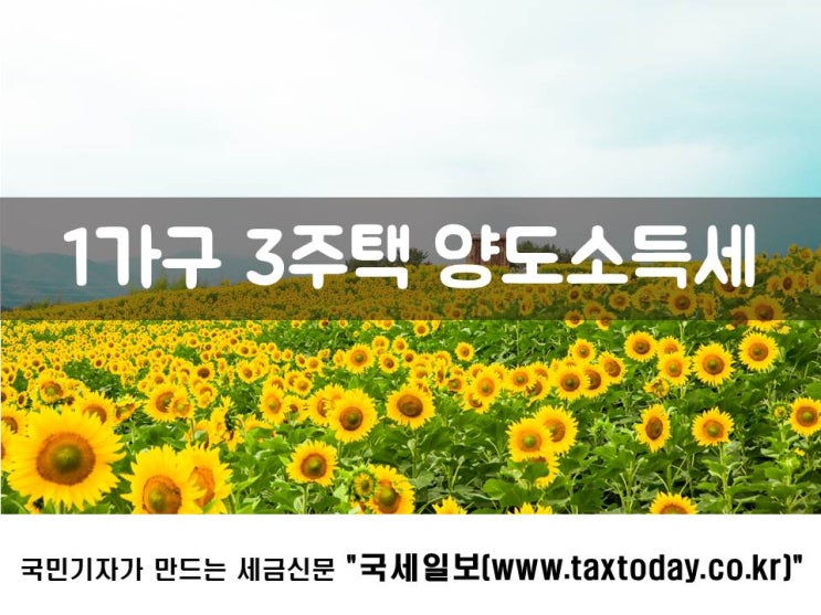  1가구 3주택, 양도소득세