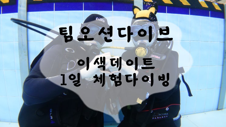  (서울. 경기. 수원. 천안) 이색데이트 1일 체험다이빙 데이트코스 가볼만한곳!! 팀오션다이브 후기