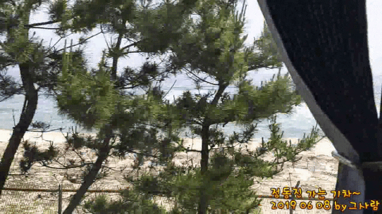  정동진 당일치기 기차여행 가볼만한곳