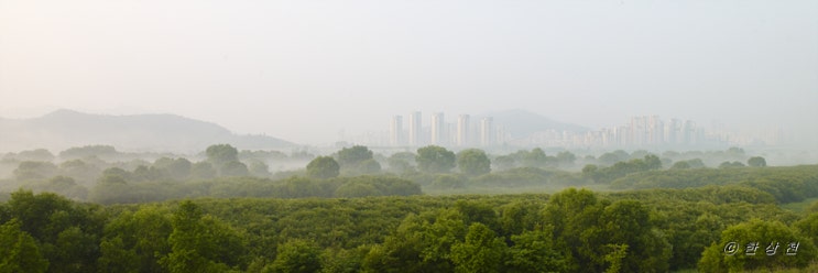  전월산에서 본 세종시 야경과 합강의 아침
