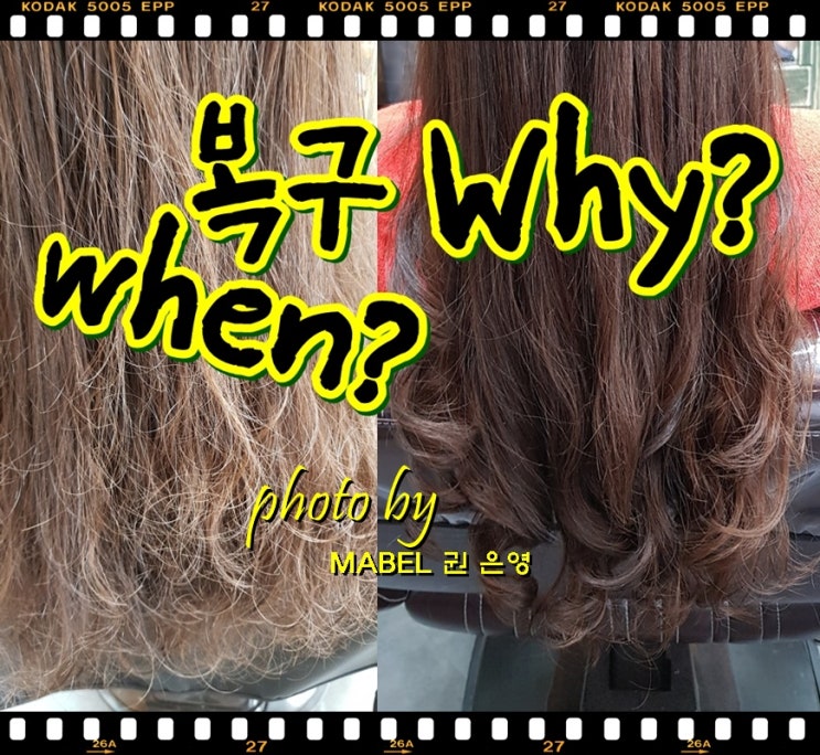  전주 평화동, 효자동 미용실 추천. 상한머리 복구클리닉 후기