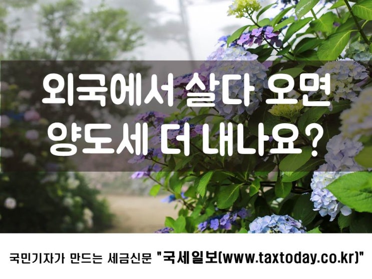  외국에서 살다 오면 양도세 더 내나요?