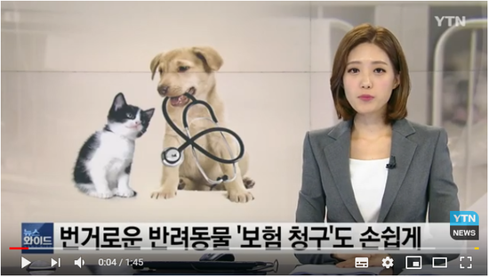 번거로운 반려동물 '보험 청구'도 손쉽게 / YTN 번거로운 반려동물 '보험 청구'도 손쉽게 / YTN
