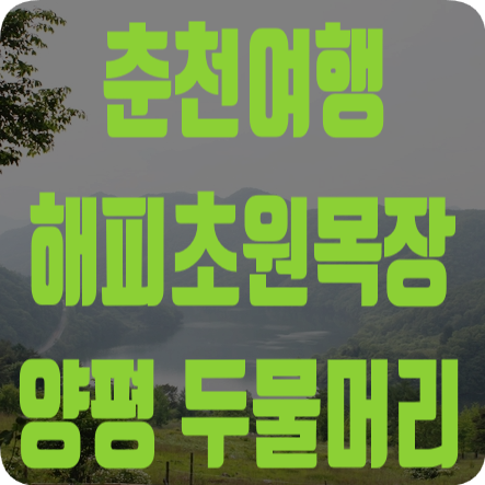  '춘천 해피초원목장'&'양평 두물머리' 솔직후기!춘천 가볼만한곳가평 가볼만한곳가평여행춘천여행