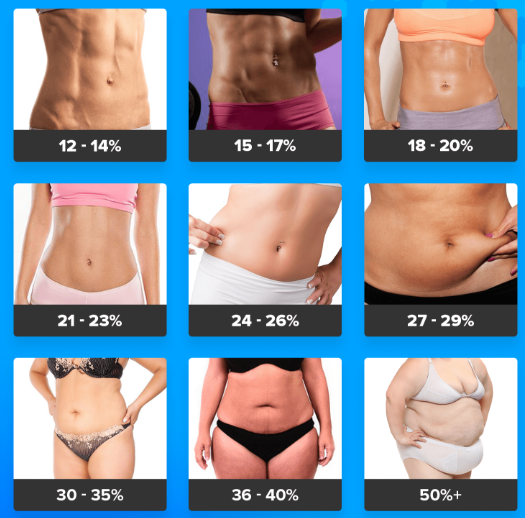 여자 체지방률에 따른 몸매의 변화 (잘못된 체지방률 계산공식) : 네이버 블로그