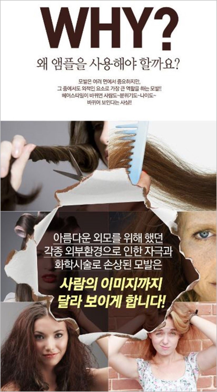  모링가바오밥 천연샴푸, 성분 알아보자!