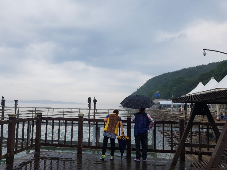  주말 나들이 대부도 안산수목원, 구봉도