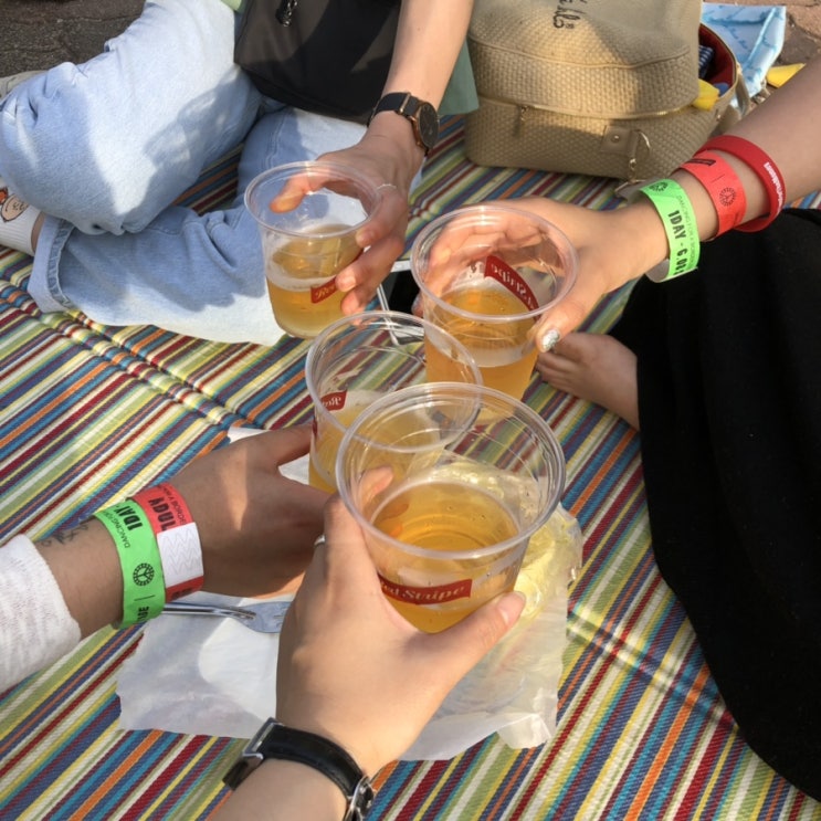  DMZ 피스트레인