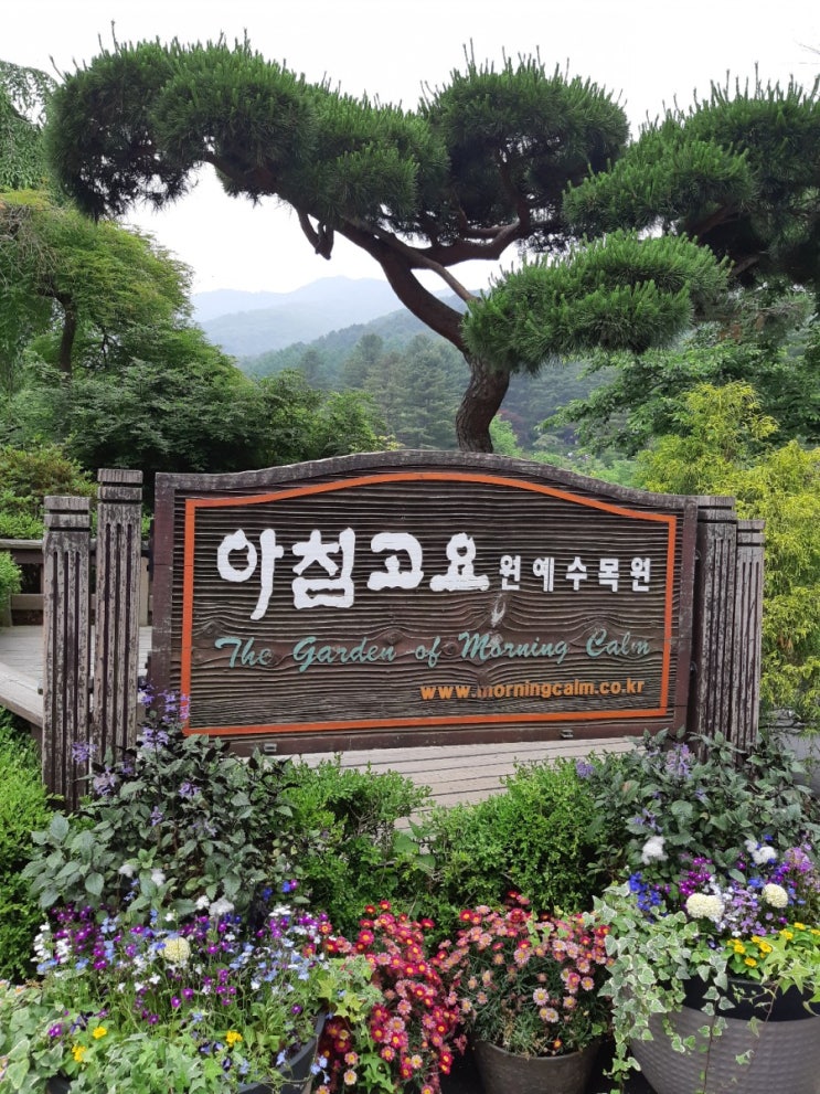  [가평]아침고요수목원&아침고요카라반글램핑