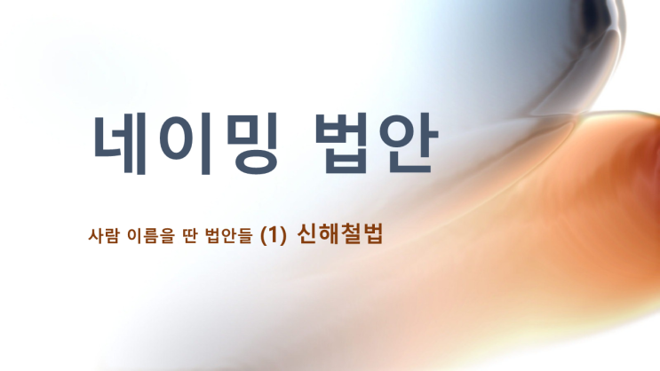  [st_2] 네이밍 법안 (1) 신해철법