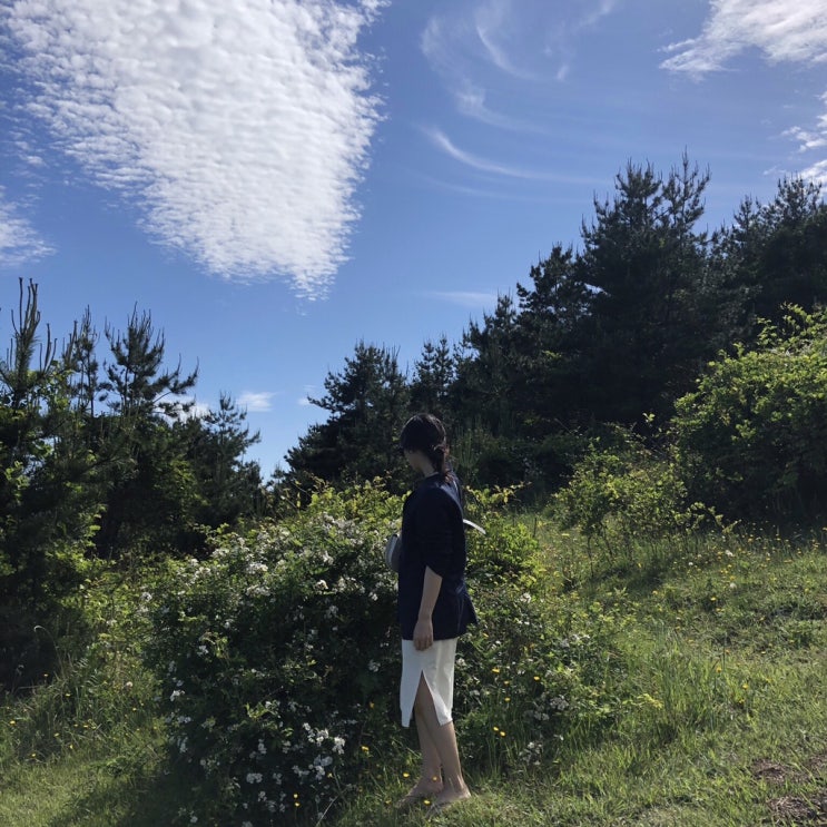  [codeu]코드유 ss제품