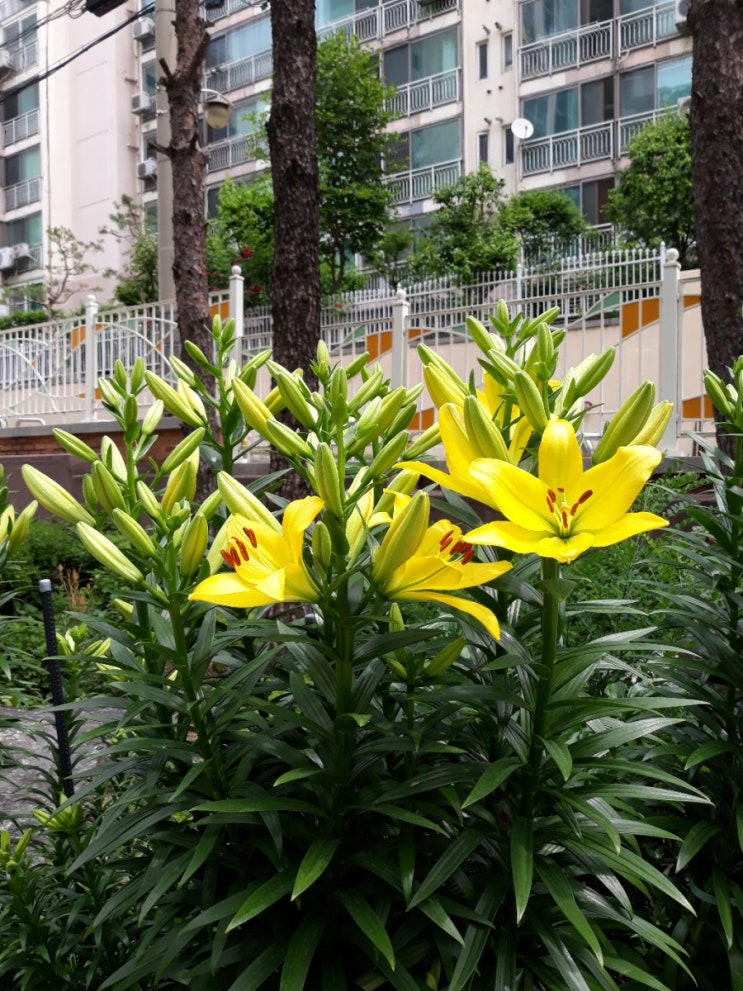  일찍 눈이 떠져서,