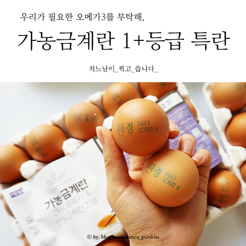 계란 노른자장 만들기 (feat. 오메가3 가득한 가농금계란)