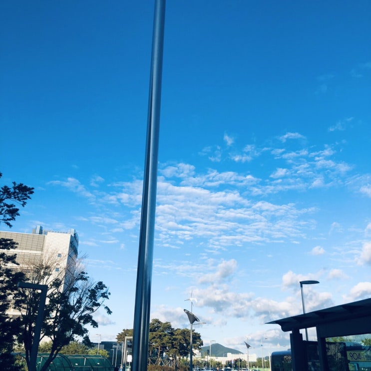  [190607-8] 종강주세요/머리 싹뚝️️️️/블랙소르베 시식기/포토몬 사진인화