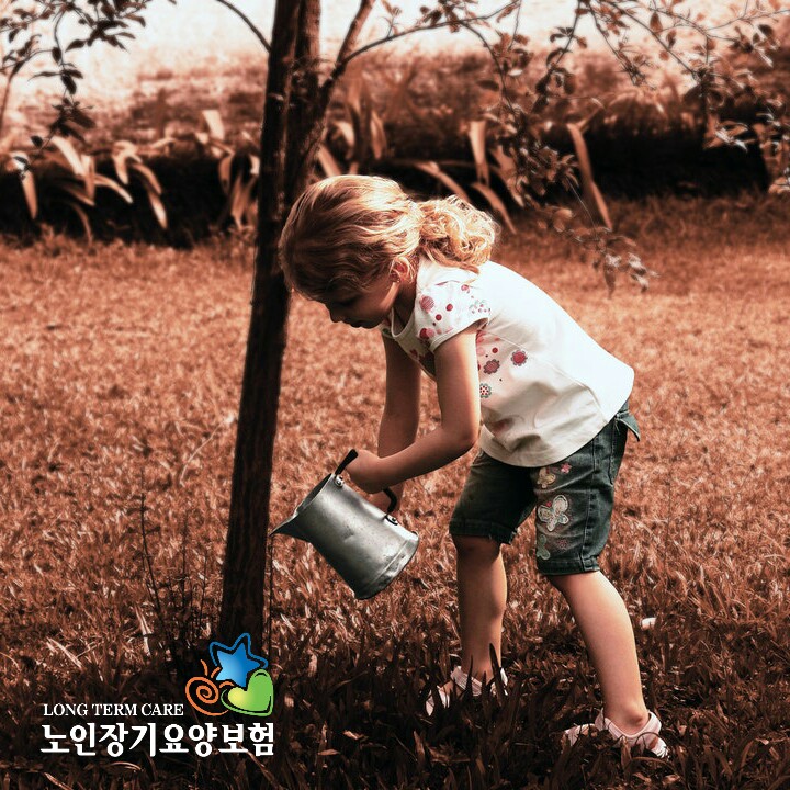  노인장기요양등급 받아 가정간병인 비용 절감하기 [가정간병 안내]