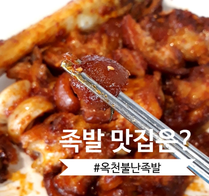  배곧 족발 : 정왕동 족발 맛집으로 추천하는 옥천불난족발