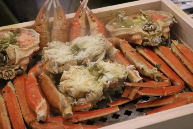  주문진 맛집 회맛잘살린 곳