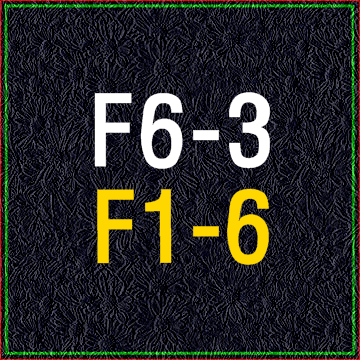  F6비자의 혼인단절자와 F1비자의 가사정리 비교