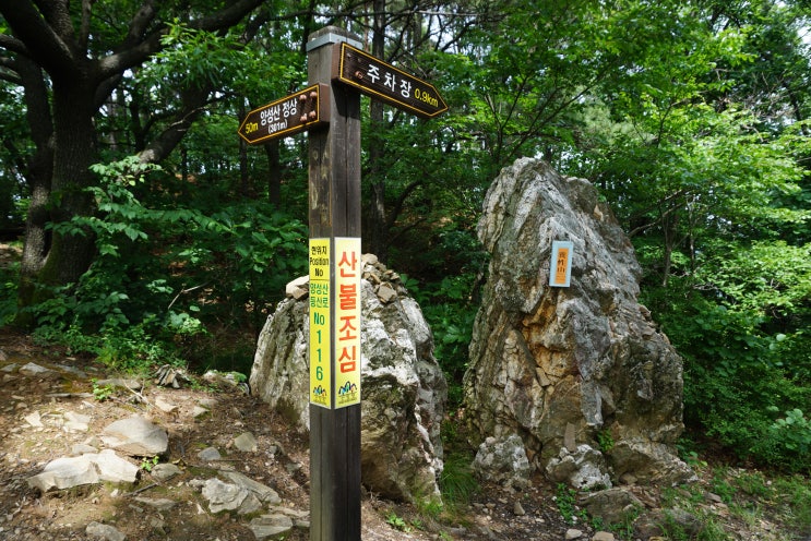  청주 작두산,양성산
