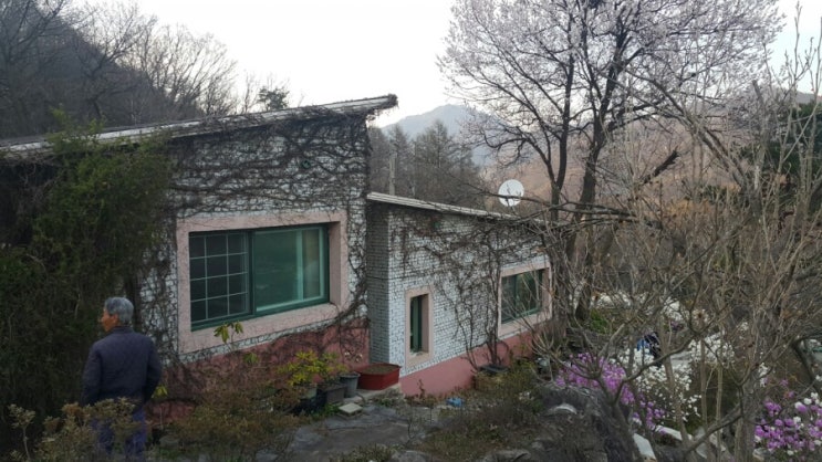  제자가 스승보다 못하면 제대로 가르친 게 아니다.