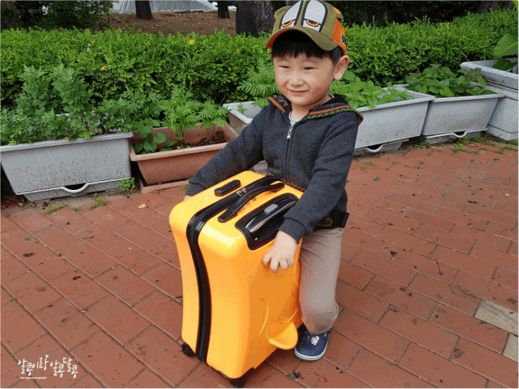 어린이여행가방 승용캐리어 캐리버디 역시 육아는 장비빨