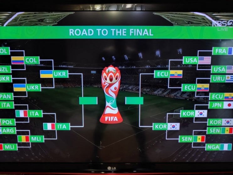  2019 FIFA U-20 월드컵 8강 대한민국 ㅡ 세네갈 2019.6.9.일요일