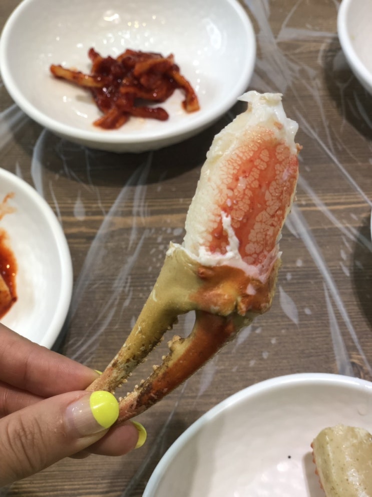  양양여행/속초물회 백합칼국수 수구레국밥 초계국수/양양대게맛집/속초물회