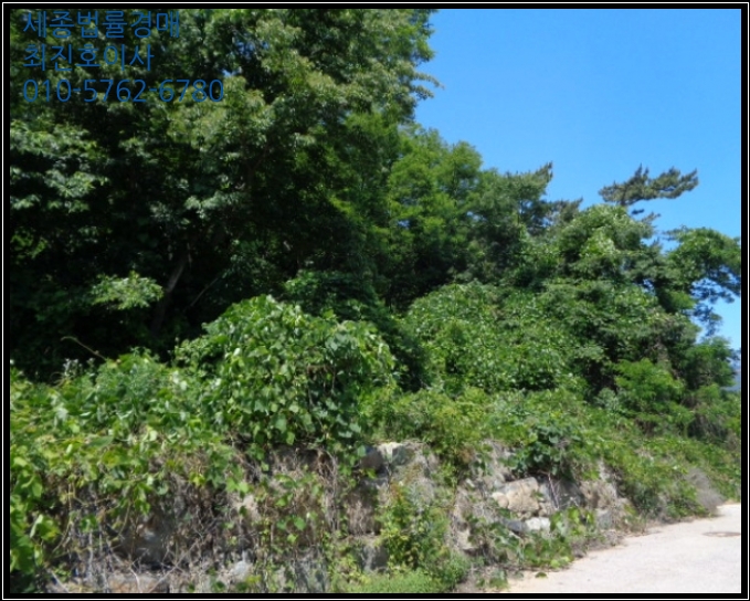  [ 진해구, 경매 ] 창원시 진해구 남문동 산206  경매매물