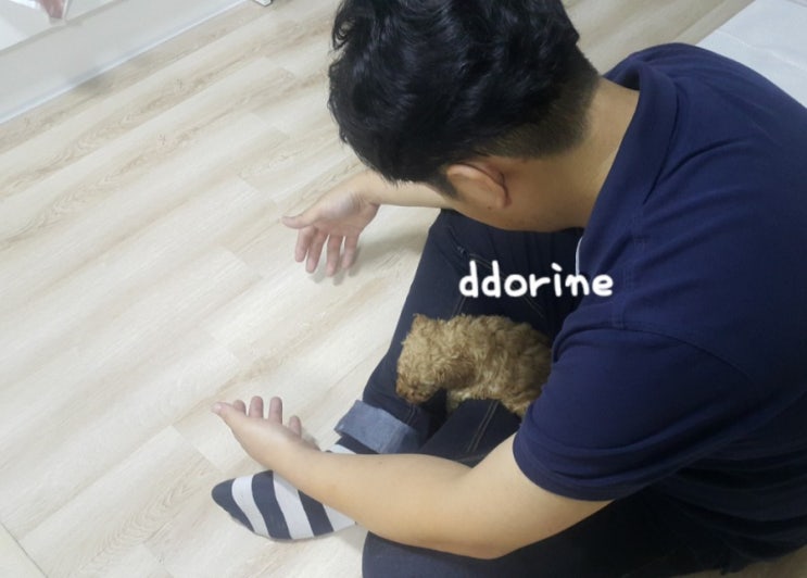  16.10.21 또리오신날 (분양사기 1)