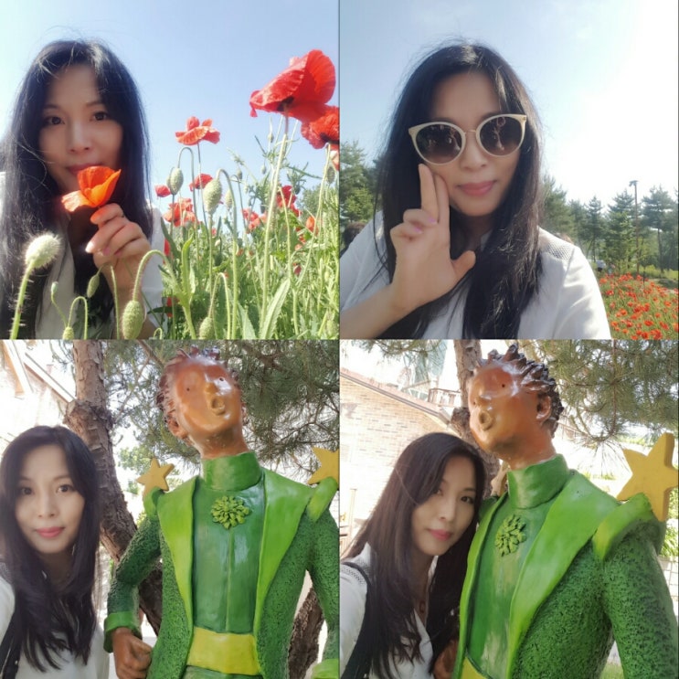  가평 가볼만한곳 자라섬 재즈페스티벌 오토캠핑장 꽃차종류 효능 꽃심 다녀오다.