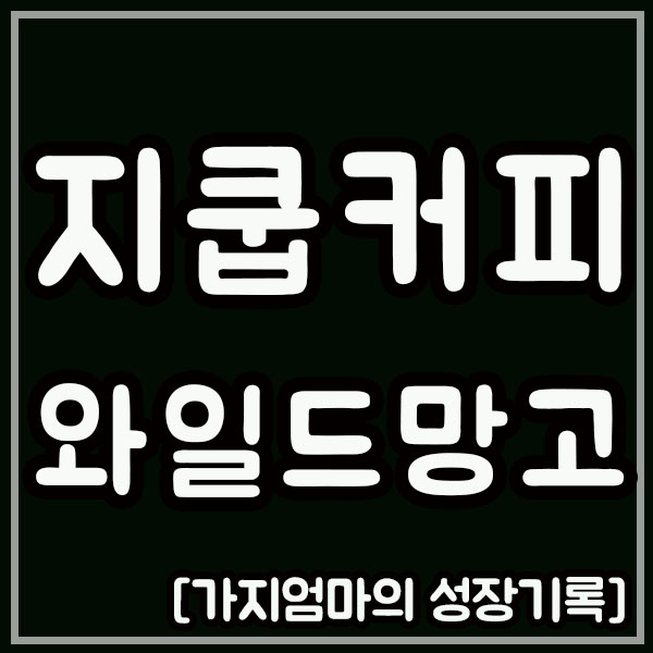  지쿱커피 와일드망고 저렴하게 구입하는 방법