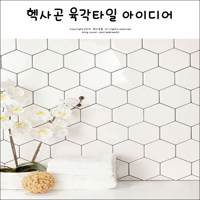 헥사곤타일 육각타일 인테리어 아이디어 헥사곤타일 육각타일 인테리어 아이디어