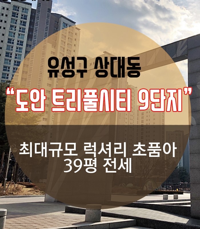  도안트리풀시티 9단지 럭셔리 초품아 전세
