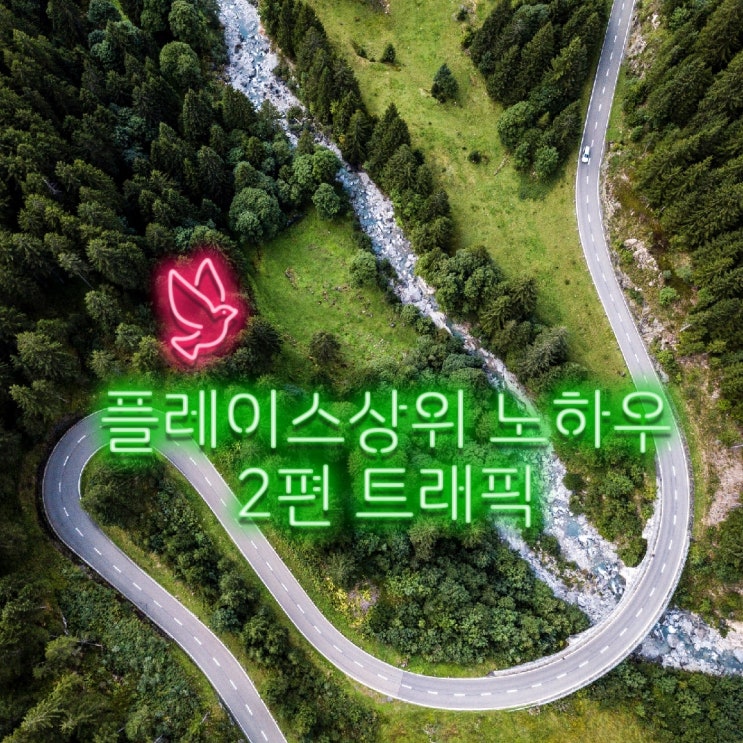  스마트플레이스 노하우 2편(트래픽)