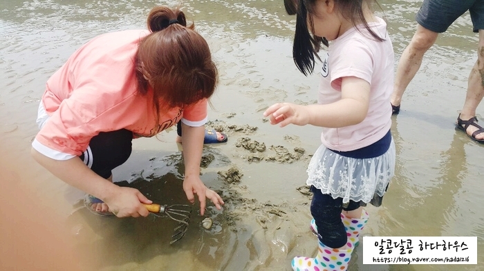  소야도 1박2일 캠핑! 제대로 놀고 왔어요~