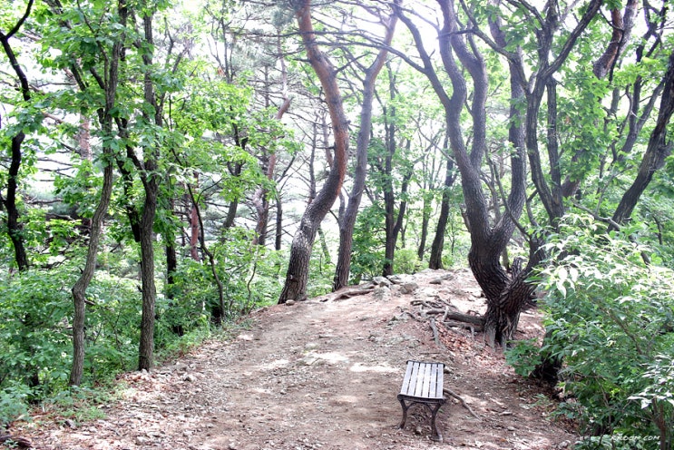 청계산 등산코스(청계산입구역~옥녀봉~매봉~대공원역) 청계산 등산코스(청계산입구역~옥녀봉~매봉~대공원역)