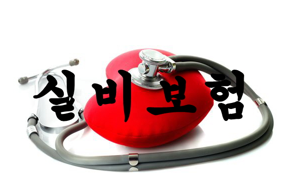  부모님보험 Hint보기