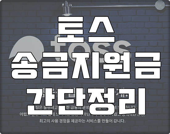  토스 송금 지원금 간단 정리 이거다!