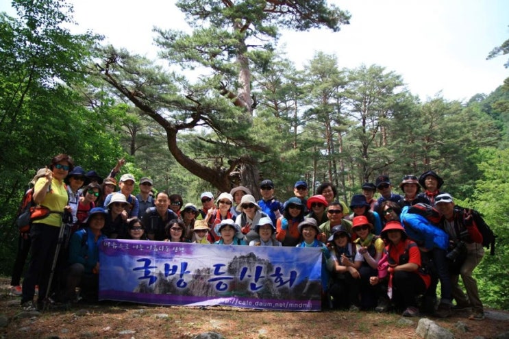  세렌디피티, 금강소나무 숲길