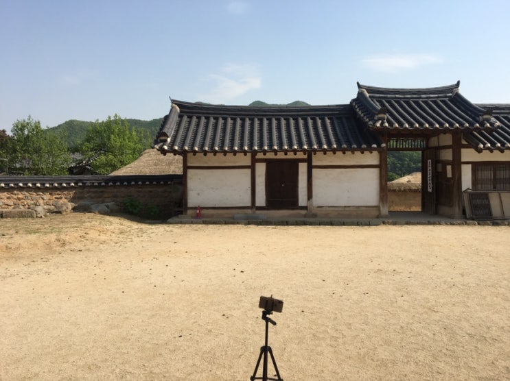  엄마랑 안동 여행 DAY2 - 비밀의 숲, 안동 하회마을, 한옥스테이