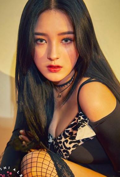  낸시 큐 열애설 의혹, 모모랜드 측 강력부인 또래 친구들끼리 모인것
