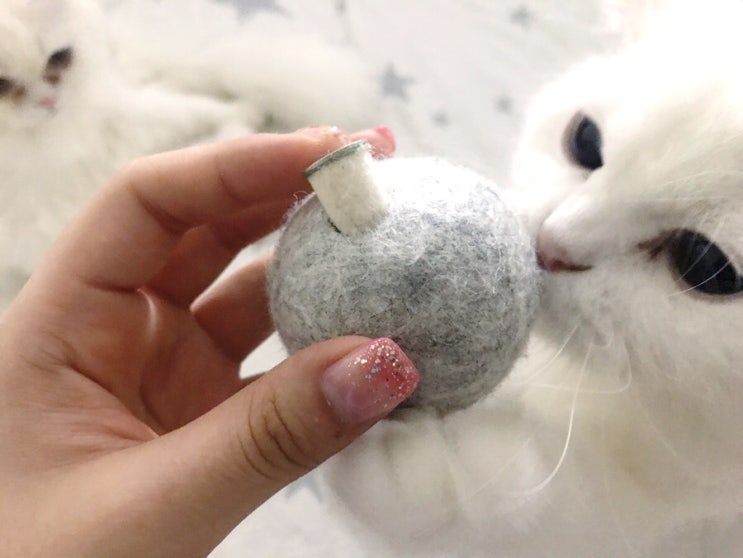  [생활지인] 울집 냥이들 환장템 볼차는냥이 캣닢볼! :)️ / 고양이 장난감&캣닢 장난감