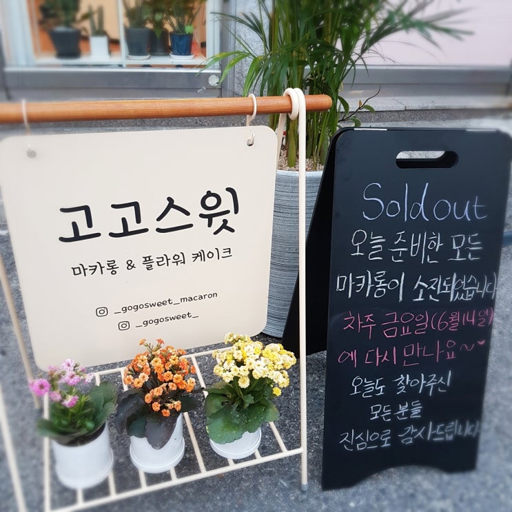  성남 뚱카롱 달달함의 끝판왕 고고스윗마카롱
