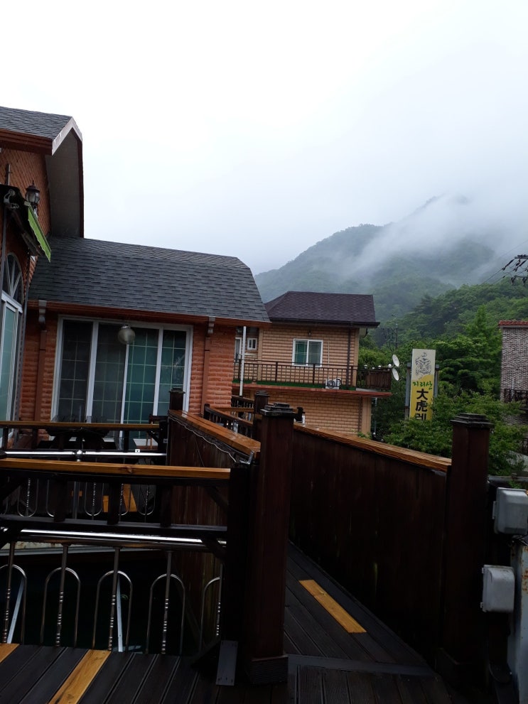 비내리는 초록산과 커피한잔